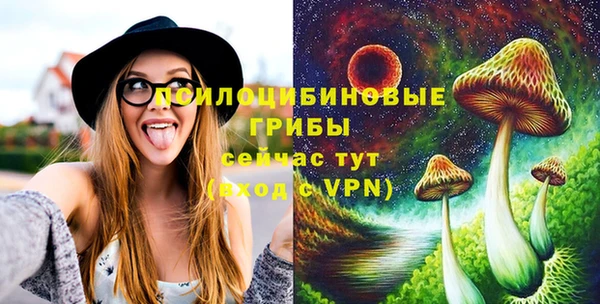 Альфа ПВП Алексеевка