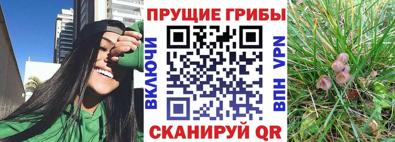 OMG зеркало  Разумное  Псилоцибиновые грибы Magic Shrooms 